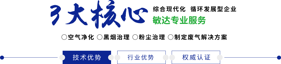 男人鸡鸡插入女人逼逼视频软件敏达环保科技（嘉兴）有限公司